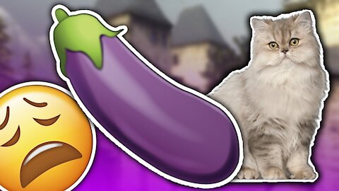 [PL] POBUDZAJĄCY KOT - CSGO Nostalgia & Śmieszne Momenty #2