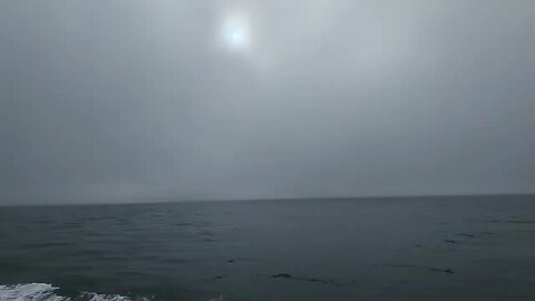 Pacific Ocean | Morning boat ride to Channel Islands National Park