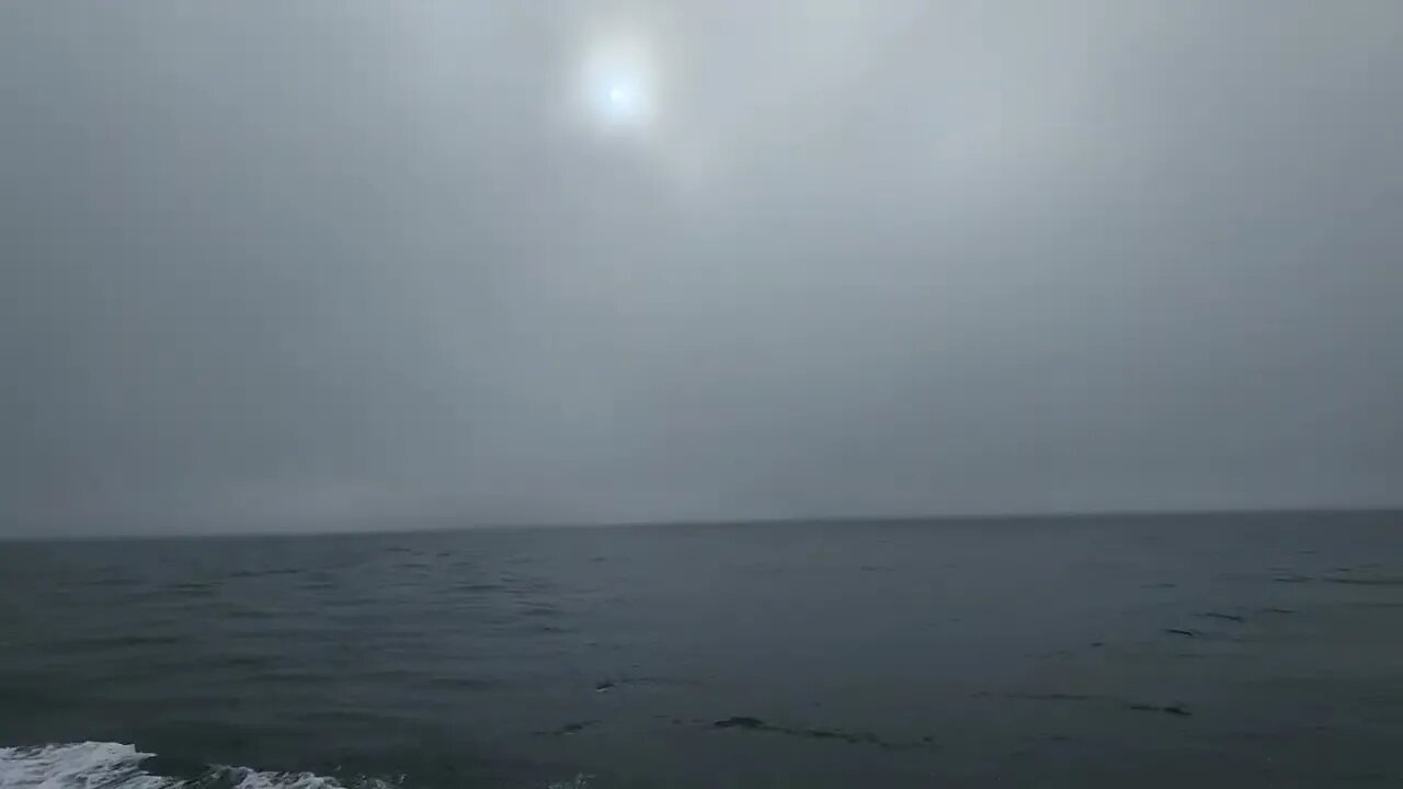 Pacific Ocean | Morning boat ride to Channel Islands National Park