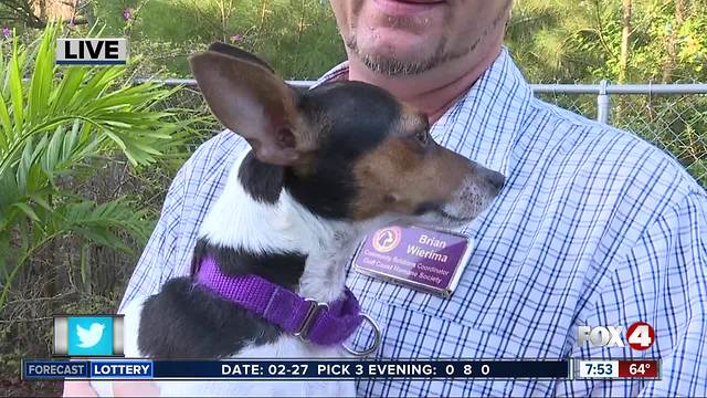 Pet of the week: Nanita