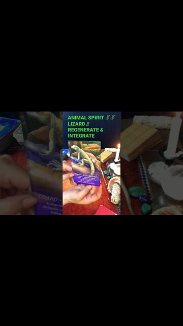 SPIRIT ANIMAL HAS A MESSAGE FOR YOU🦎🦎🪄🪄☝🏻