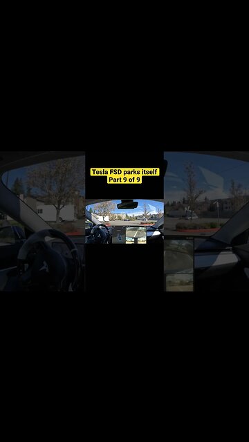 Tesla Full Self Drive Parks Itself