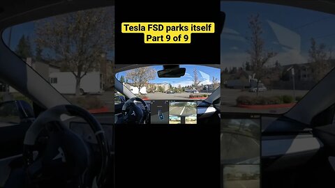Tesla Full Self Drive Parks Itself