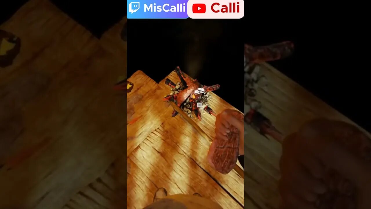 What Did You Just Do?