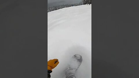 First Lab 10/10 #short #shorts #snowboarding #snowboarding #powder #pow #revelstoke