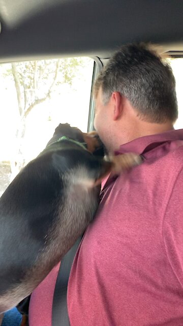 Nose cleaning anyone??