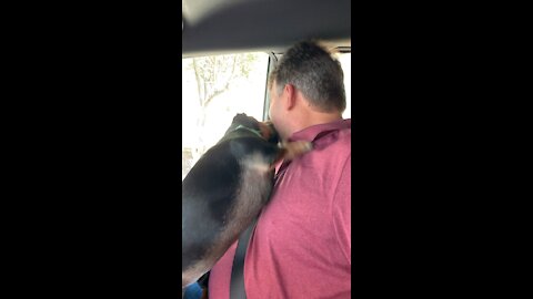 Nose cleaning anyone??