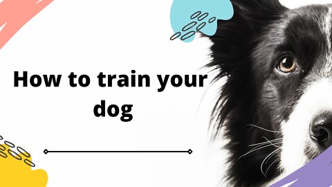 DOG TRAINING TIPS
