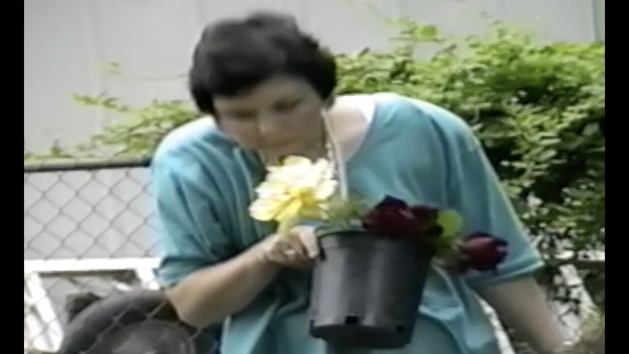 Early backyard @ the Howell's