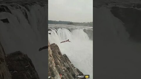 amazing video❤ | subscribe ❤ #shorts(5)