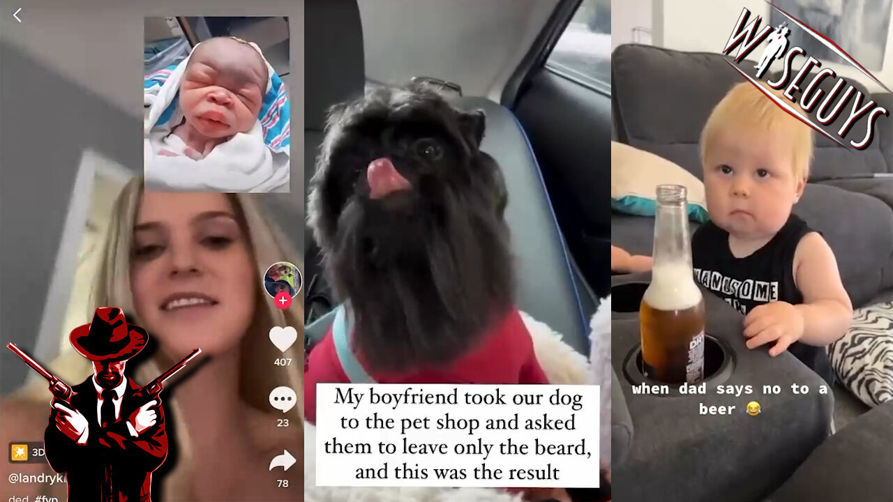 Daily crazy and funny video compilation found on X-Twitter 82 #funnyvideo #funnymoments #viralvideo