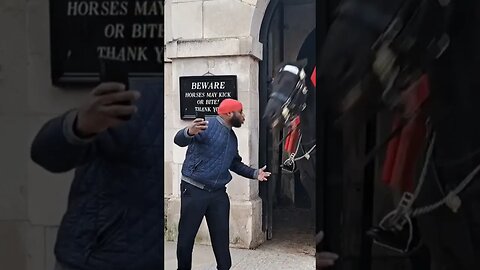 Kiss the horse lose your face #horseguardsparade