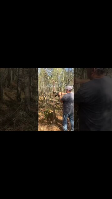 Easiest way to put up a a feeder…Ever!!!