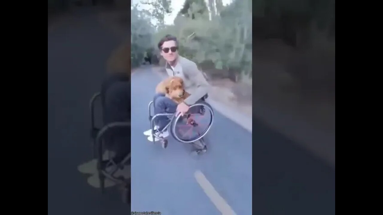 Mesmo com todas as adversidades que a vida nos impõe, temos que seguir em frente, e viver
