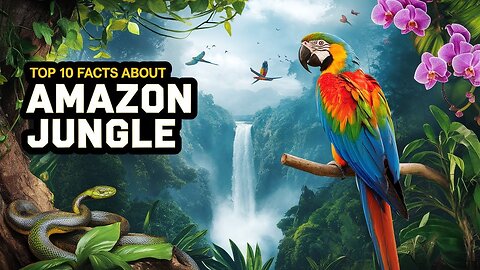 top 10 facts about amazon jungle