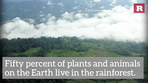 5 Facts About Planet Earth | Rare News