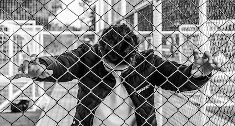BCP REPORT: YOU AREN'T CRAZY! HERE'S PROOF THAT CONCENTRATION CAMPS FOR "NON-COMPLIANT" AMERICANS