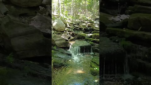 Hiking Photo From Barnum Creek #shorts #hiking #hikingadventures
