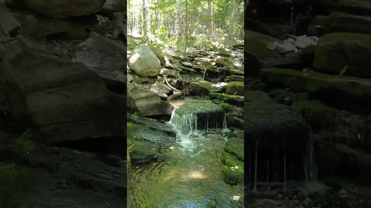 Hiking Photo From Barnum Creek #shorts #hiking #hikingadventures