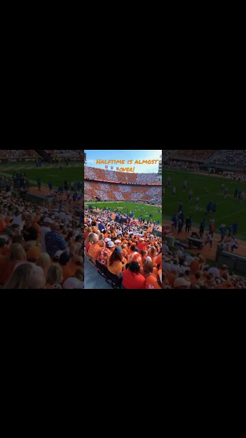 #GoVols! #Vols #Shorts UTvsFL