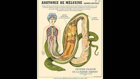 Visioni reali #1: Melusine, la nascita della regalità.