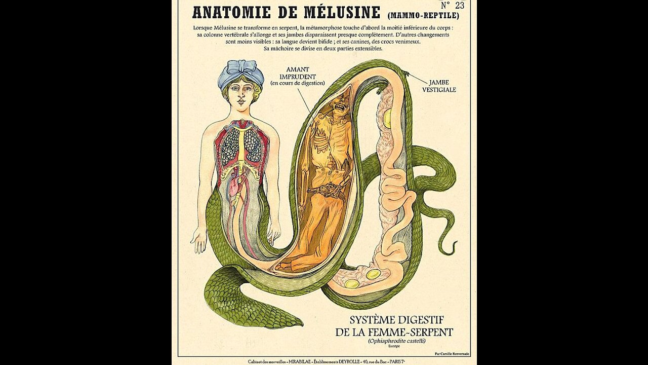 Visioni reali #1: Melusine, la nascita della regalità.