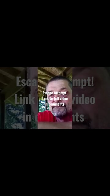 Dumb Escape Attempt #short