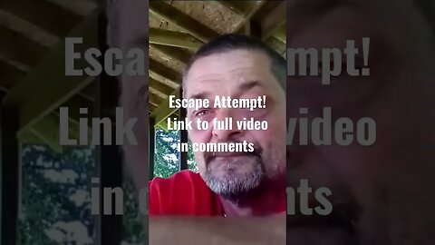 Dumb Escape Attempt #short