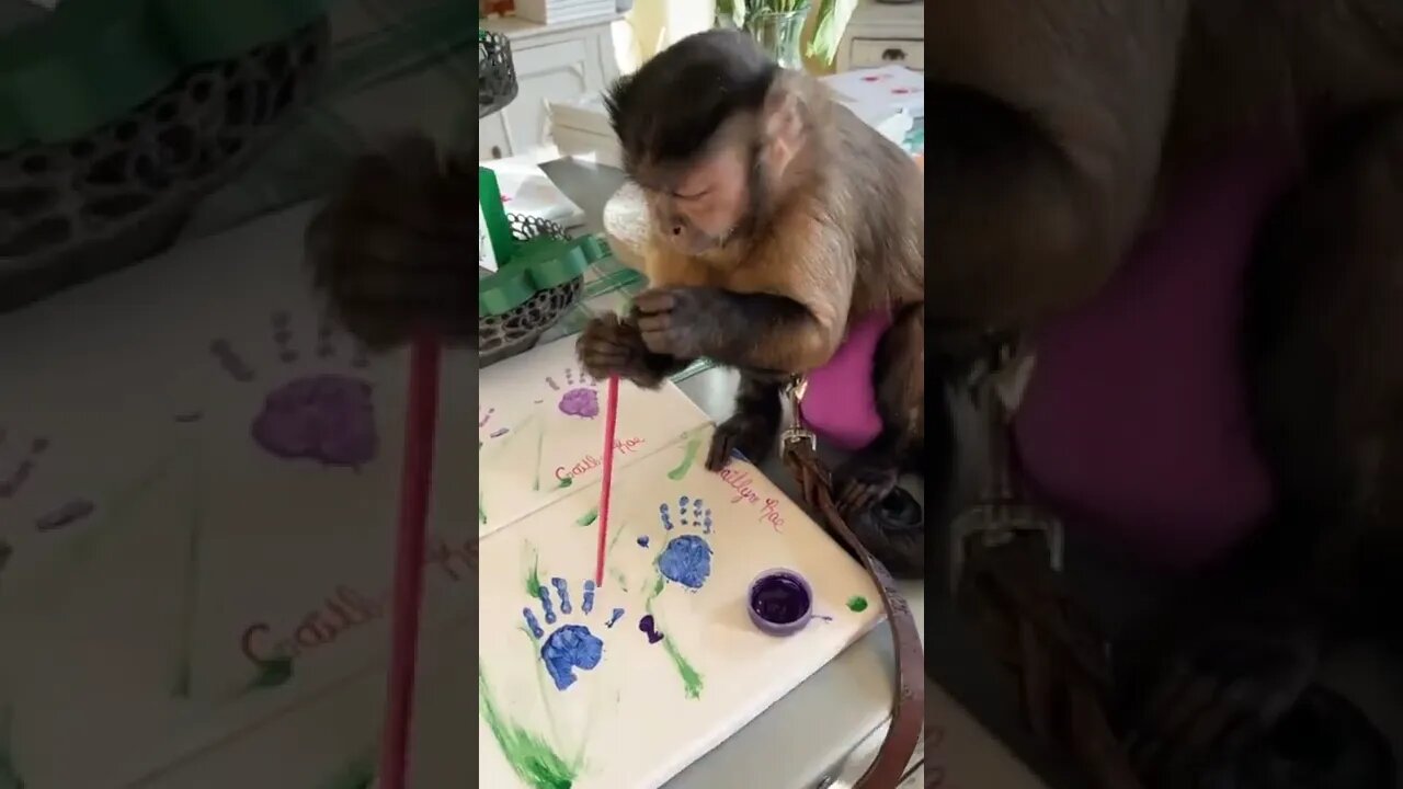 Painting shenanigans
