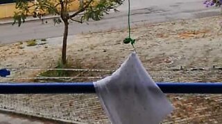 Upstairs neighbor 'fishes' for fallen pillowcase