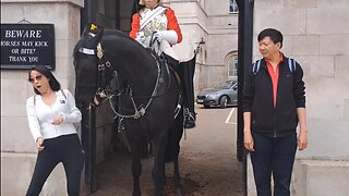 She doges the horse #horseguardsparade