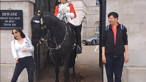 She doges the horse #horseguardsparade