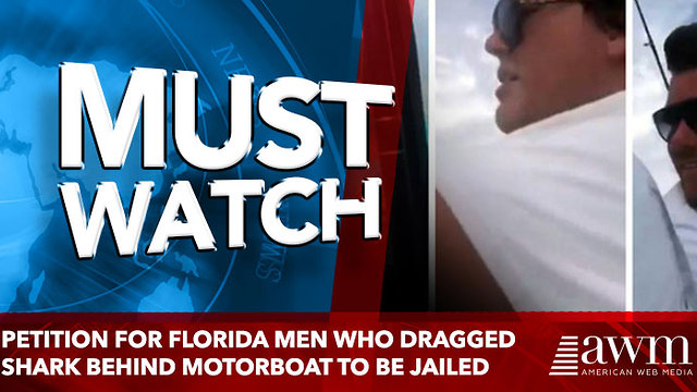 Petition calls for Florida men who dragged shark behind motorboat to be jailed