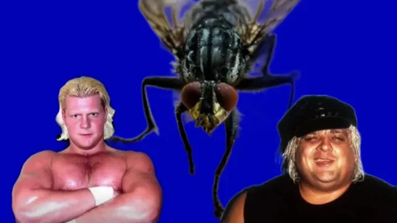 PPW Randcast Short: KC James vs The American Dream Dusty Rhodes and The Fly