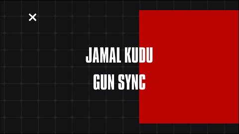 ANIMAL: ABRAR’S ENTRY - JAMAL KUDU Valorant Gun Sync