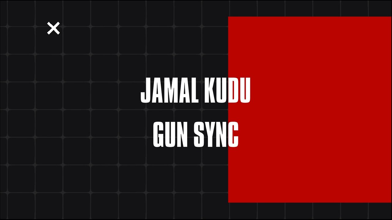 ANIMAL: ABRAR’S ENTRY - JAMAL KUDU Valorant Gun Sync