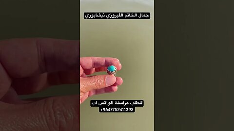 فيروز نيشابوري