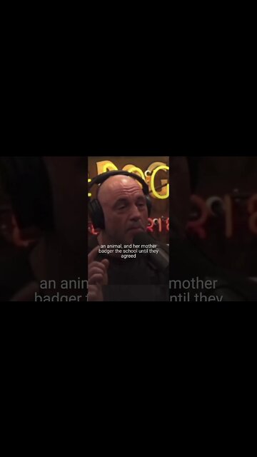 LITTER BOX 🧺 at School 🙀 Story.. Joe Rogan