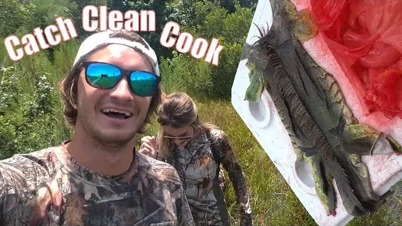 Looking for LIVE lizards to Catch Clean and Cook