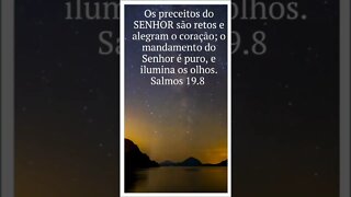 VERSÍCULO DO DIA 03/10/2022.#shorts