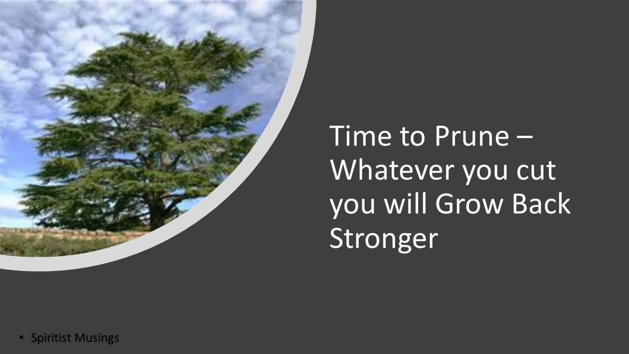 Time to Prune – Whatever you cut you will Grow Back Stronger