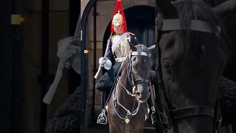 Guard shouts get back twice at tourist #horseguardsparade