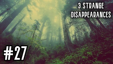 3 Very Strange Disappearances In National Parks | Part 27