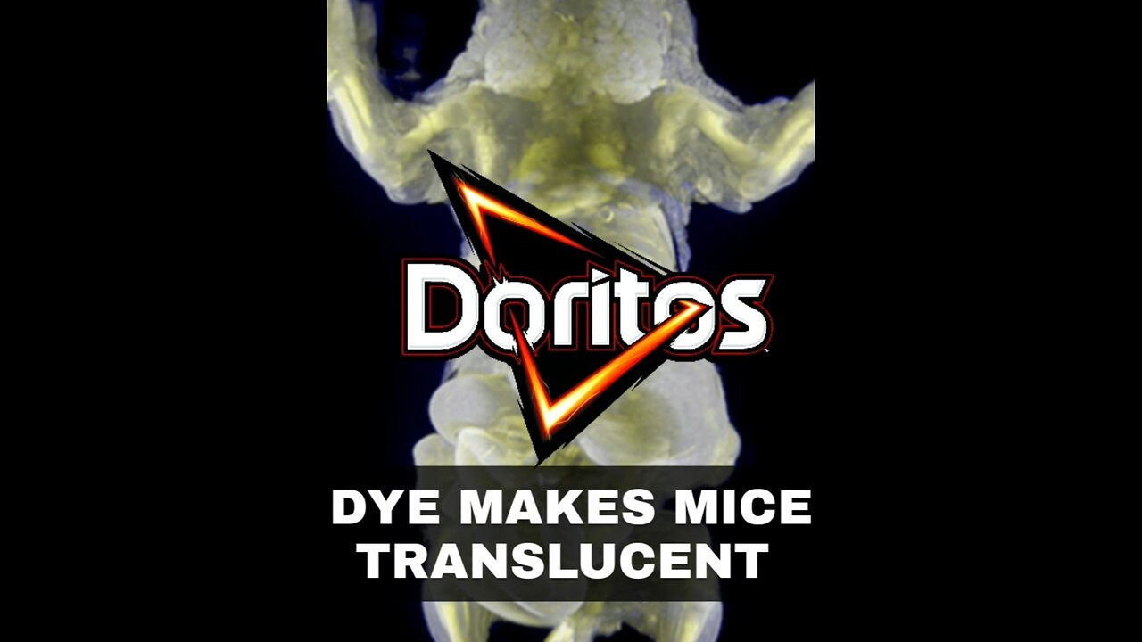 Doritos Dye Makes Mice TRANSLUCENT 🐭