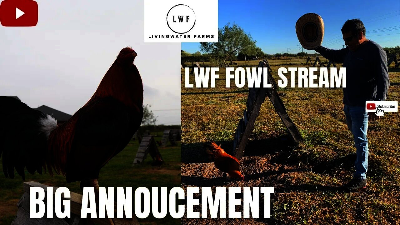 BIG ANNOUCEMENT LWF FOWL STREAM Roundhead Edition