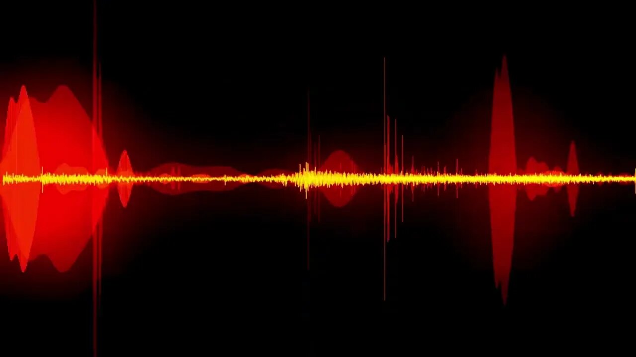 MÚSICA ALEATÓRIA in leather