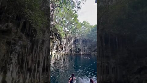 Come on in! The waters just fine! #travel #mexico #water #cenotes #traveling #lake