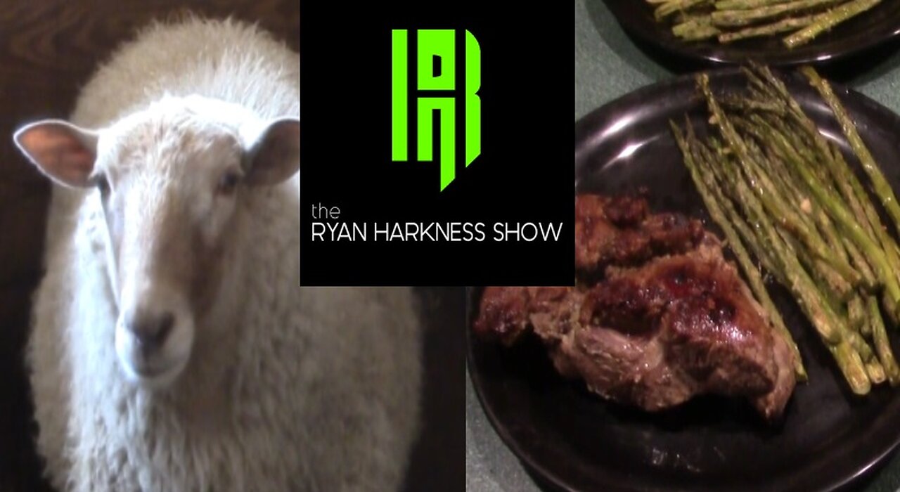 Episode #015: Sheepish | The Ryan Harkness Show