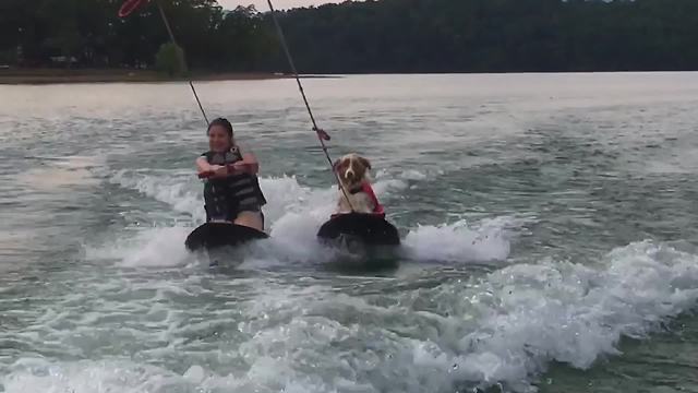 A Young Girl And A Dog Ride Boogie Boards On A Lake