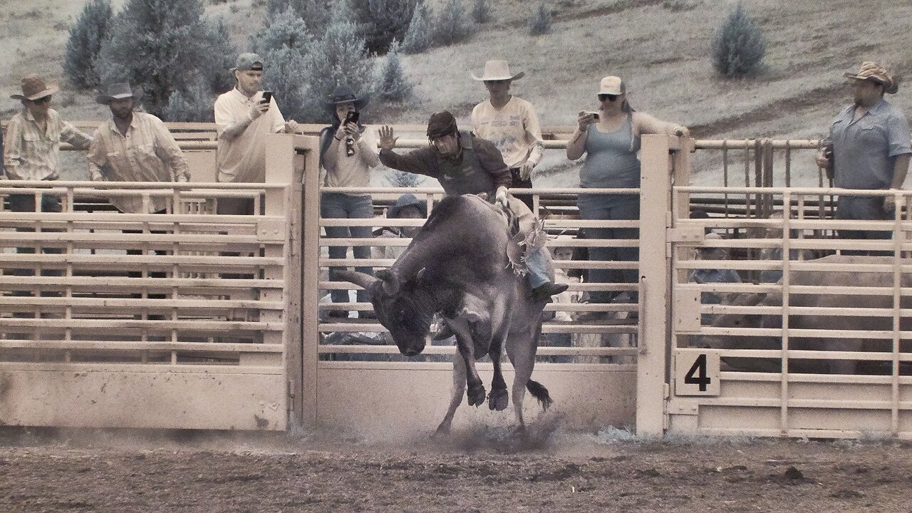 Bull Riding Teller County Fair 2024